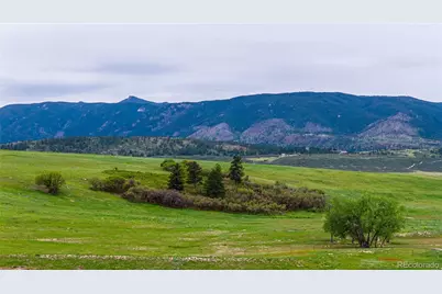 3282 Tomah Road, Larkspur, CO 80118 - Photo 9