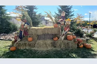 14027 Touchstone Street, Parker, CO 80134 - Photo 43