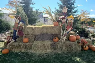 14027 Touchstone St, Parker, CO 80134 - Photo 43