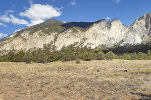 16602 Co Rd 289, Nathrop, CO 81236 - Photo 37