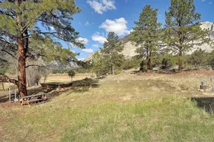 16602 Co Rd 289, Nathrop, CO 81236 - Photo 39