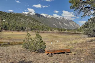 16602 Co Rd 289, Nathrop, CO 81236 - Photo 35