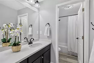 493 Sudbury St, Castle Rock, CO 80104 - Photo 33