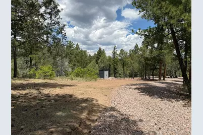 165 Mosswood Drive, Cotopaxi, CO 81223 - Photo 17