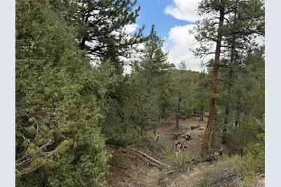 165 Mosswood Drive, Cotopaxi, CO 81223 - Photo 27