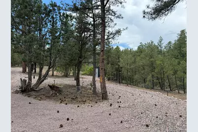 165 Mosswood Drive, Cotopaxi, CO 81223 - Photo 23
