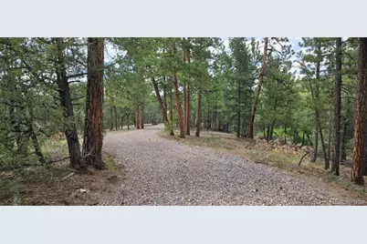 165 Mosswood Drive, Cotopaxi, CO 81223 - Photo 13