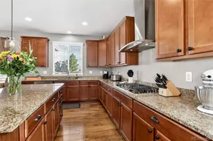 3248 Wild Oak Ct, Castle Rock, CO 80108 - Photo 5