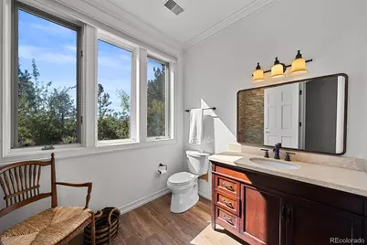 99 Coulter Place, Castle Rock, CO 80108 - Photo 37