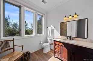 99 Coulter Pl, Castle Rock, CO 80108 - Photo 37