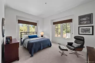 99 Coulter Pl, Castle Rock, CO 80108 - Photo 27