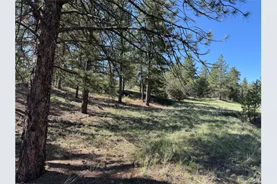 69 Coyote Run Road, Cotopaxi, CO 81223 - Photo 21
