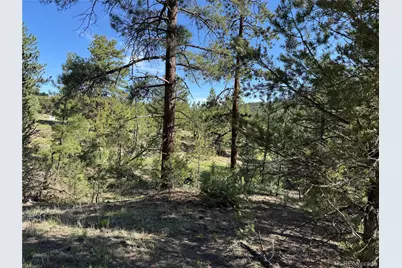 69 Coyote Run Road, Cotopaxi, CO 81223 - Photo 9