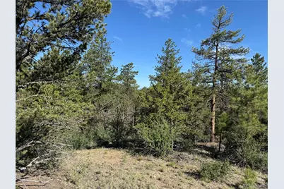69 Coyote Run Road, Cotopaxi, CO 81223 - Photo 11