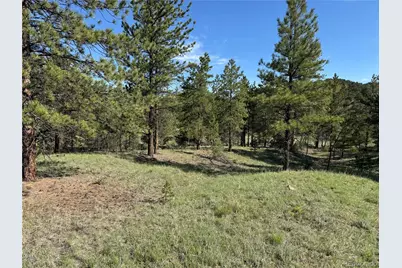 69 Coyote Run Road, Cotopaxi, CO 81223 - Photo 19