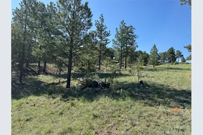 69 Coyote Run Road, Cotopaxi, CO 81223 - Photo 17