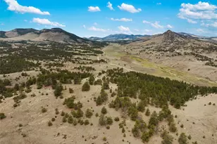 11396 Co Rd 102, Guffey, CO 80820 - Photo 25
