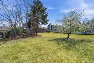 8169 Webster St, Arvada, CO 80003 - Photo 45