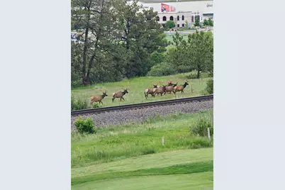 2809 Newport Circle, Castle Rock, CO 80104 - Photo 49