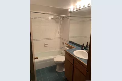 490 W Coyote Drive, Silverthorne, CO 80498 - Photo 39