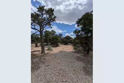 3302 & 3303 Calder Road, Fort Garland, CO 81133 - Photo 25