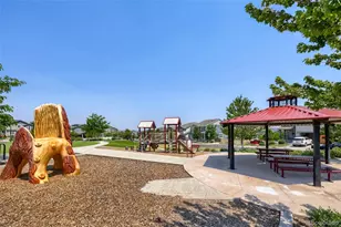 3260 Jonquil St, Castle Rock, CO 80109 - Photo 11