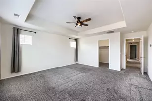 3260 Jonquil St, Castle Rock, CO 80109 - Photo 9