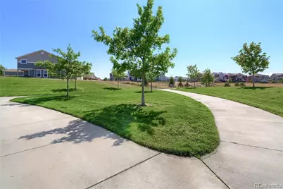 1696 Odyssey Court, Castle Rock, CO 80109 - Photo 13