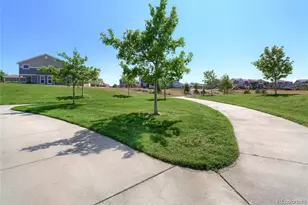 1696 Odyssey Ct, Castle Rock, CO 80109 - Photo 13