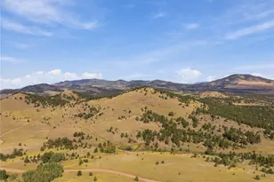 214 Betty Lou Rd, Guffey, CO 80820 - Photo 45