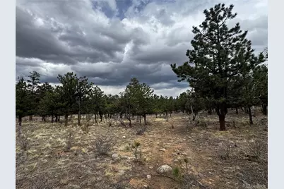 30583 Timberline Drive, Buena Vista, CO 81211 - Photo 1