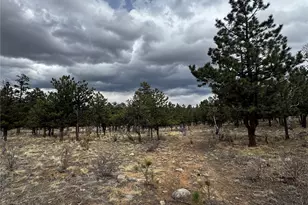 30583 Timberline Dr, Buena Vista, CO 81211 - Photo 1