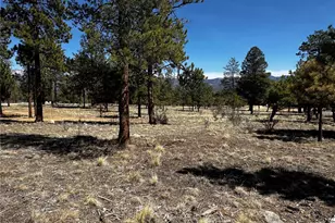 30583 Timberline Dr, Buena Vista, CO 81211 - Photo 1