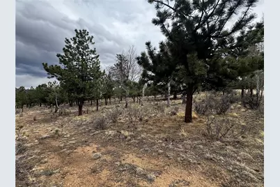 30583 Timberline Drive, Buena Vista, CO 81211 - Photo 7