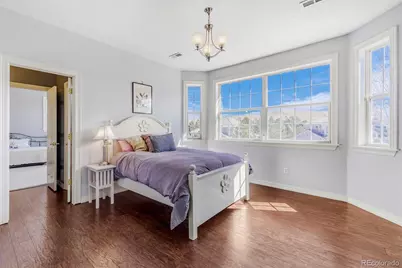 10653 Lieter Place, Lone Tree, CO 80124 - Photo 29