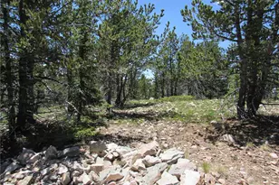 6554 Giesse Rd, San Luis, CO 81152 - Photo 33