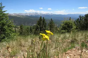 6554 Giesse Rd, San Luis, CO 81152 - Photo 5