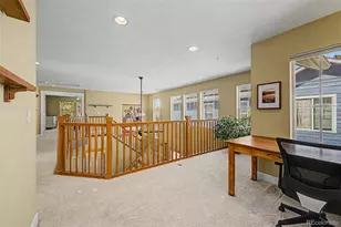 2745 Xanthia St, Denver, CO 80238 - Photo 27