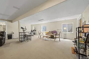 2745 Xanthia St, Denver, CO 80238 - Photo 33