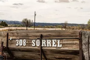 308 Sorrel St, Wellington, CO 80549 - Photo 37