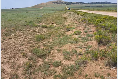6372 Larimer Road, Hartsel, CO 80449 - Photo 11