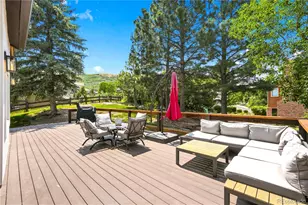 204 Cheney Pl, Castle Rock, CO 80104 - Photo 43