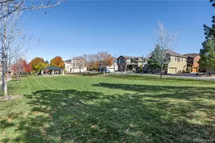 3954 Blue Pine Cir, Highlands Ranch, CO 80126 - Photo 9