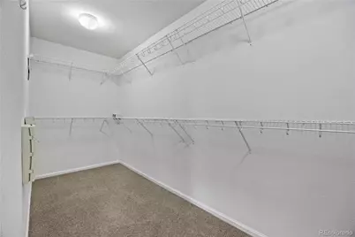 3954 Blue Pine Circle, Highlands Ranch, CO 80126 - Photo 31