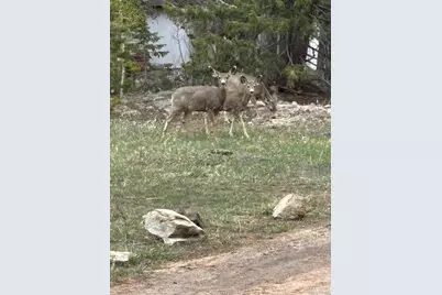 33 L Road, Golden, CO 80403 - Photo 37