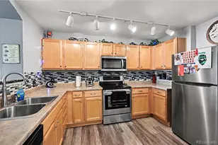 494 Black Feather Loop, Castle Rock, CO 80104 - Photo 7