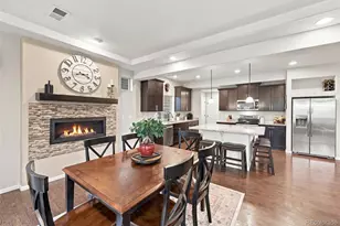 1516 Raindrop Way, Castle Rock, CO 80109 - Photo 9