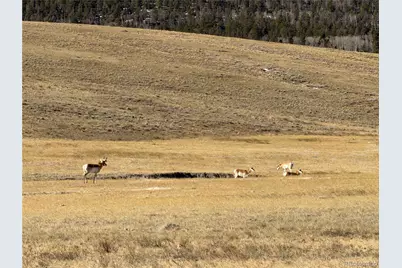 3 Ranch, Hartsel, CO 80449 - Photo 3