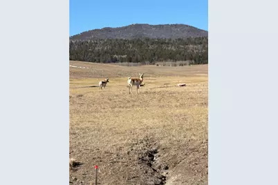 3 Ranch, Hartsel, CO 80449 - Photo 5