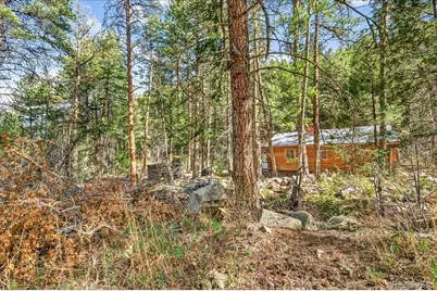 700 County Road 102J, Ward, CO 80481 - Photo 9